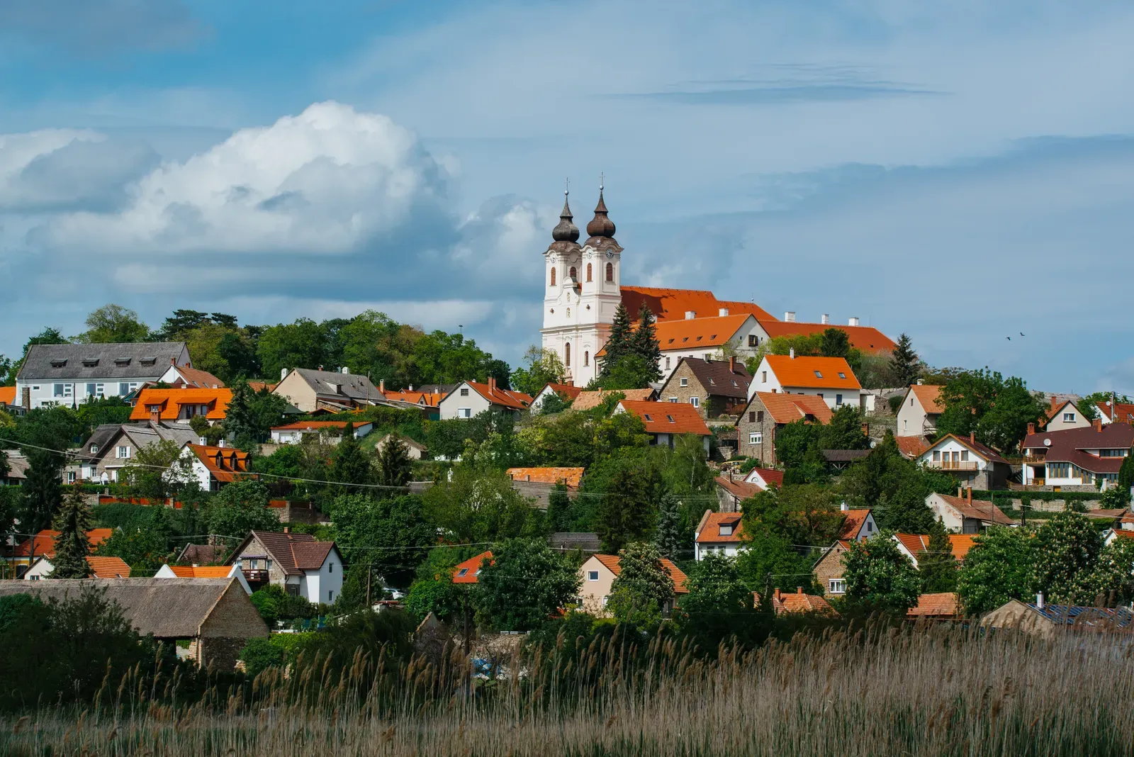Ortschaft mit zweitürmiger Kirche auf einem Hügel, davor Schilf und Wiesen